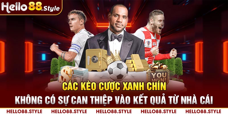 Các kèo cược xanh chín, không có sự can thiệp vào kết quả từ nhà cái