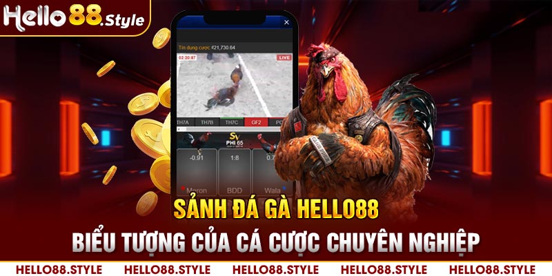 Sảnh đá gà HELLO88 - Biểu tượng của cá cược chuyên nghiệp